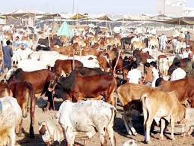 KP govt proposes 60 new agri, livestock projects worth Rs15b for budget 2021-22