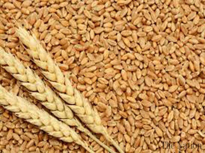 Multan secures 86.4 pc wheat procurement target