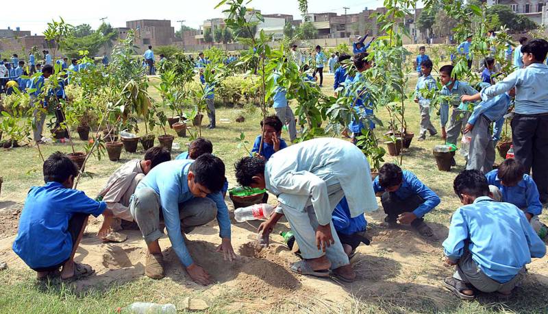 New record of planting 1 lakh saplings set in Faisalabad dist