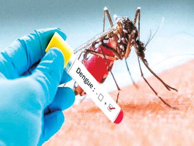 Islamabad hospitals face dengue patients’ influx