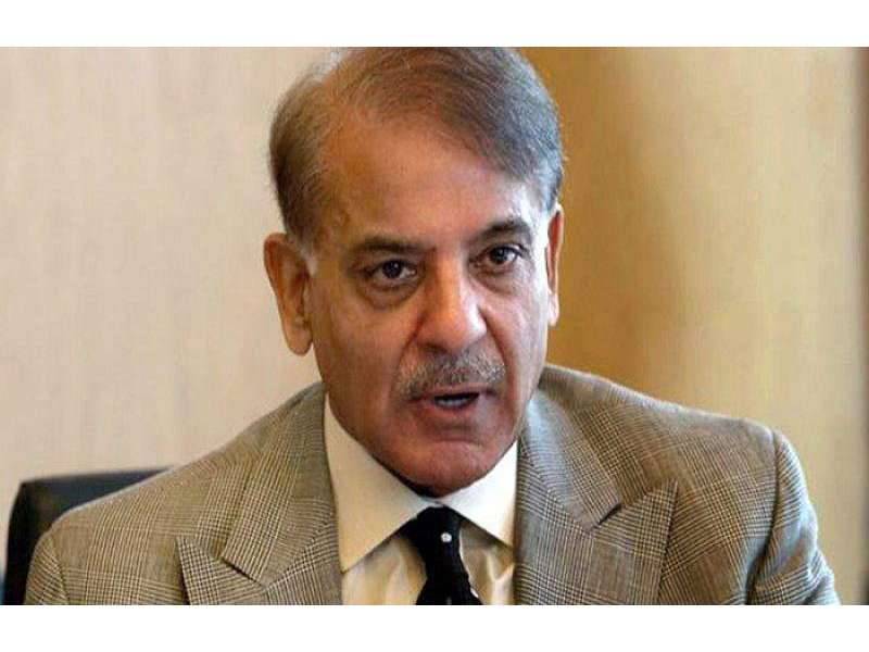 Pakistanis standing in queues for petrol missing Nawaz, says Shehbaz Sharif 