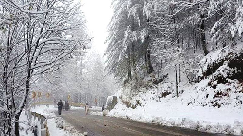 Hundreds rescued, roads cleared as families mourn victims of Murree snowstorm