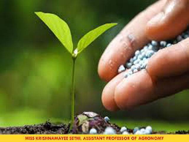 Govt to import urea to avoid supply disruptions, higher prices