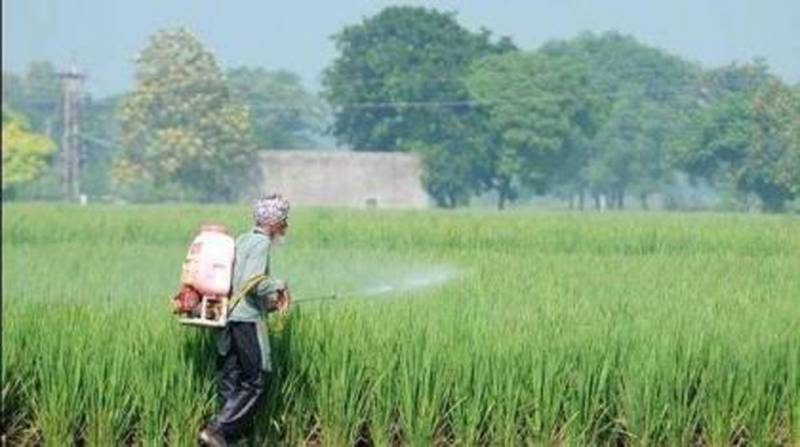 DC Sibi reviews urea fertilizer issues for facilitating to farmers