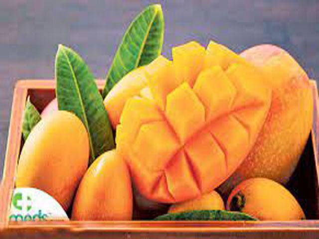 China, Pakistan cooperating to improve mango production: Wang Yan