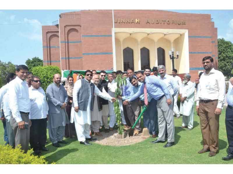 Tree plantation drive launched in Multan