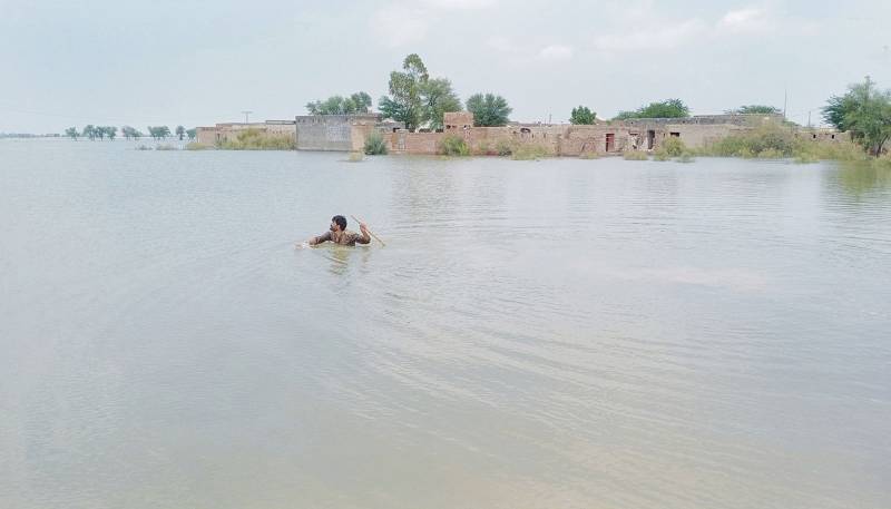 Flooded Manchhar Lake dyke breached to save Jamshoro population