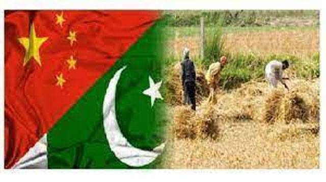 Pakistan’s agri products export to China to grow further: Commercial Counsellor