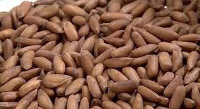 Pakistani pine nuts exports to China hit nearly $48 million in Jan-Sept