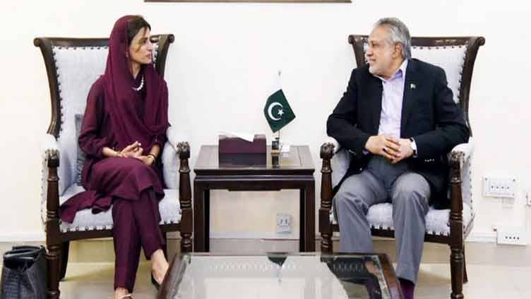 Ishaq Dar, Hina Rabbani Khar discuss agenda for Afghan visit