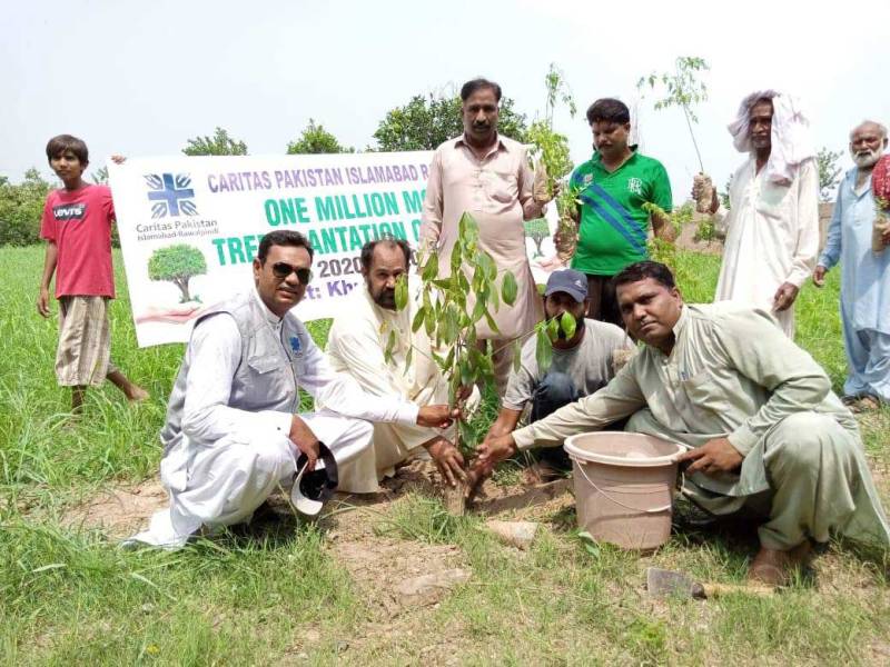 100pc tree plantation target achieved in Sargodha 