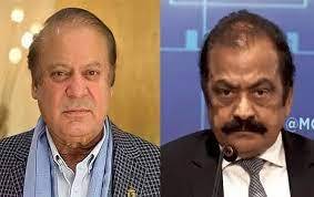 Rana Sana leaves for London to face Nawaz amid political mess