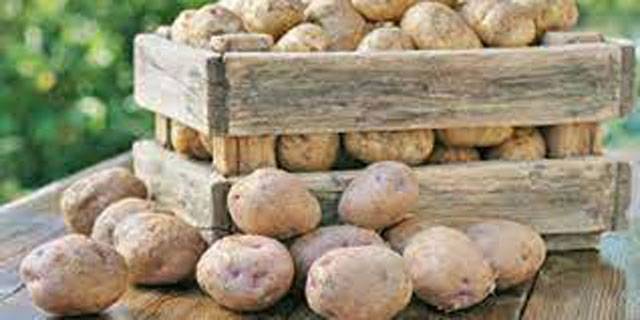 China potentially big market for Pakistani potatoes: Experts