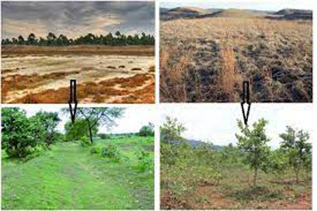 utilisation-of-wasteland-stressed-to-boost-food-production