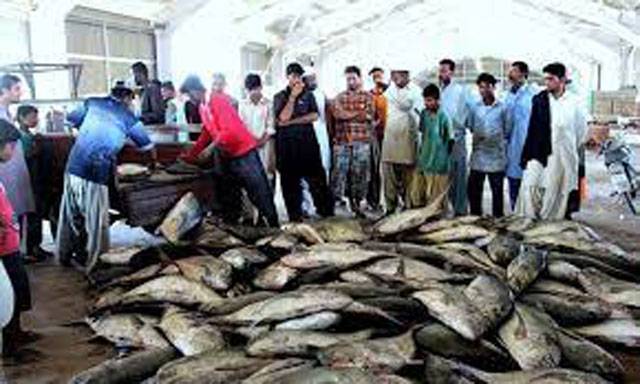 Gwadar needs cold storage facility to promote fishing industry