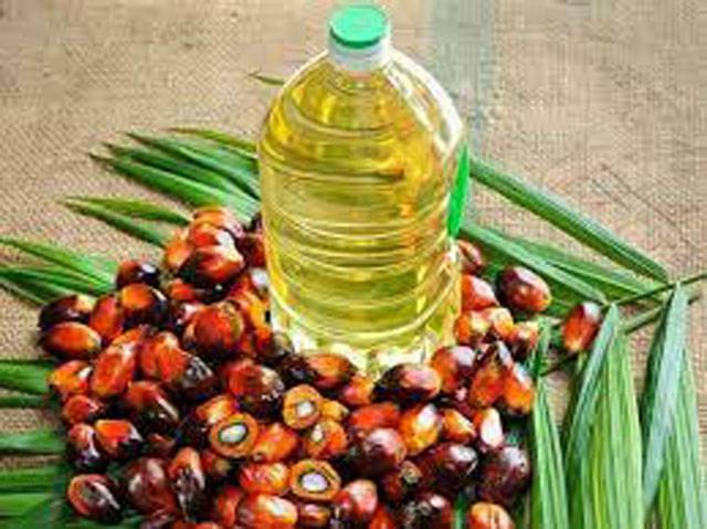 Indonesians urged to invest in palm oil cultivation in Pakistan