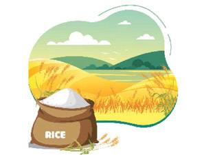 Rice exports rise by 80.13pc to $3.28b in 10 months