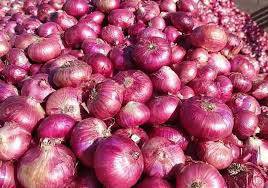 Onion export from Pakistan exceeds $210 million