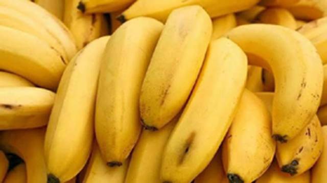 PHDEC to distribute banana bunch bags, conduct awareness seminar for progressive growers