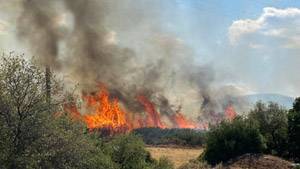 Fires erupt near Athens as Greece battles intense wildfire season