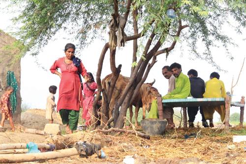 Malnutrition, lack of awareness claim life of another mother in Sujawal 