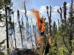 Firefighters battle devastating wildfires across Europe