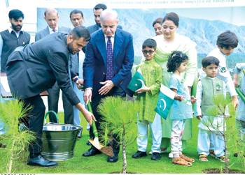 PM directs to plant 100 million saplings across country