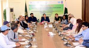 Pakistan committed to ozone layer protection for humans, environment: Romina