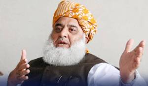 PPP, JUI-F agree to work together on disputed clauses