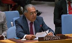 TTP evolving into an umbrella organisation, Pakistan warns UN