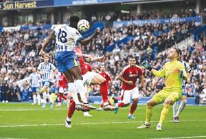 Brighton and Forest slug out 2-2 draw as both managers see red