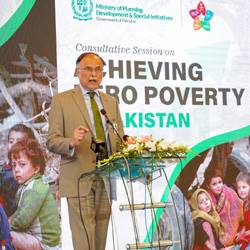 Sustainable economic development must eradicate inequality, poverty: Ahsan Iqbal