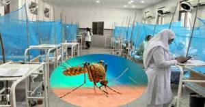 140 new dengue cases reported in Punjab