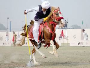 Three-day ‘Horse & Cattle Show’ concludes in Peshawar