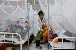 Bangladesh deaths from dengue cross 400 as outbreak worsens