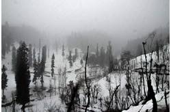 Snowfall ends dry spell in upper reaches of Kashmir