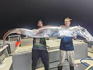 ‘Doomsday fish’ returns to Southern California shores for third time this year