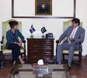 Sindh seeks investment boost from Turkiye, Sweden