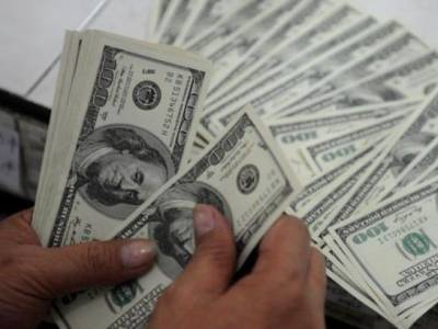 Forex Reserves Fall To Below 7 Billion - 