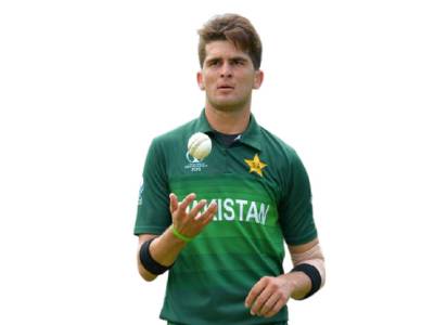 Shaheen Afridi Achieves Career Best Odi Ranking shaheen afridi achieves career best odi